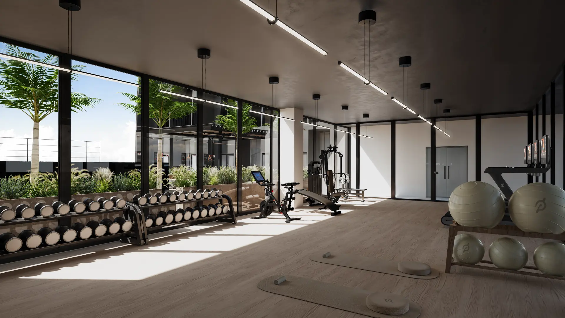 Gym